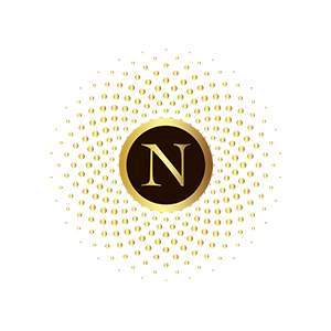 Logo N